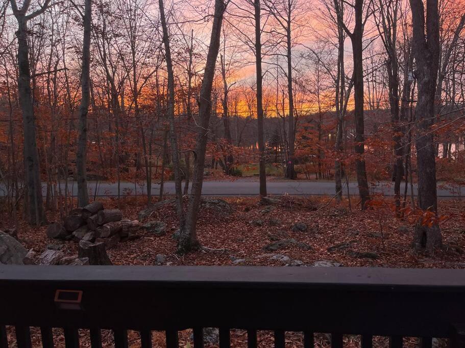 Stylish And Cozy Cabin, Walking Distance To Big Bass Lake Gouldsboro Extérieur photo