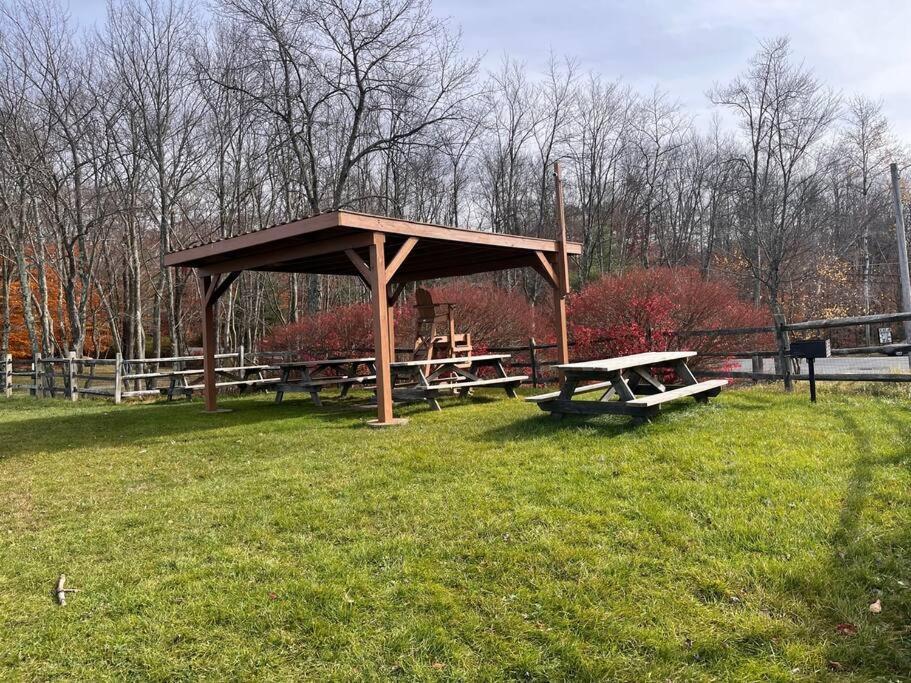 Stylish And Cozy Cabin, Walking Distance To Big Bass Lake Gouldsboro Extérieur photo