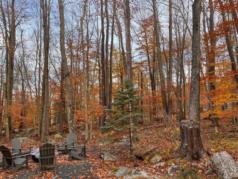 Stylish And Cozy Cabin, Walking Distance To Big Bass Lake Gouldsboro Extérieur photo