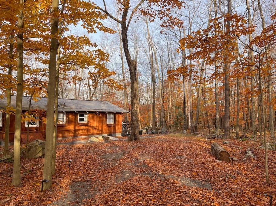 Stylish And Cozy Cabin, Walking Distance To Big Bass Lake Gouldsboro Extérieur photo